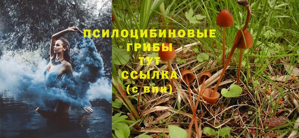 ешки Абдулино