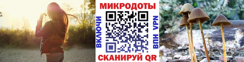 наркотики Чулым hydra ссылка Псилоцибиновые грибы прущие грибы